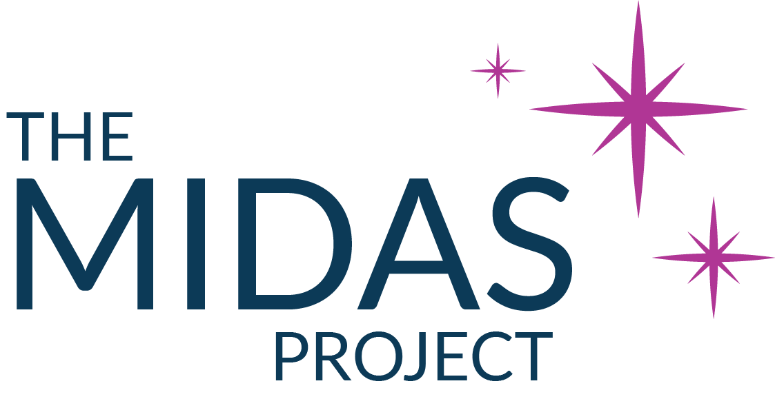 The Midas Project Logo for The Midas Project